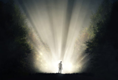 A man stands in the forest with bright lights shining